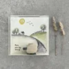 East of India - Boxed Wooden Animals - Sheep - Ewe Are My World - 2700