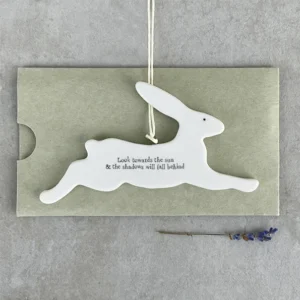 East of India - Hanging Bunny - Look Towards The Sun - 6557 Sleeve