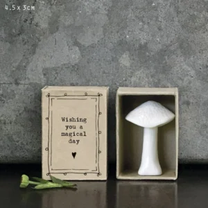 East of India - Matchbox Mushroom - Magical Day 5632