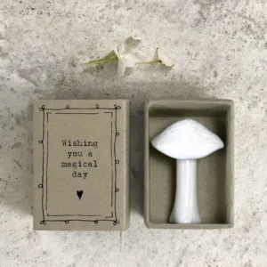 East of India - Matchbox Mushroom - Magical Day 5632 Close Up