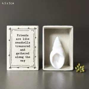 East of India - Matchbox - Welk Shell Friends Like Seashells 36