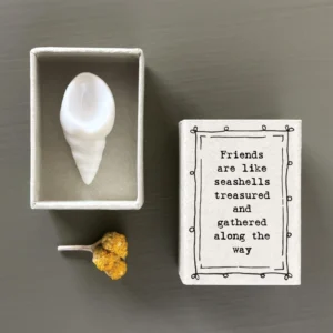 East of India - Matchbox - Welk Shell Friends Like Seashells 36 Close Up