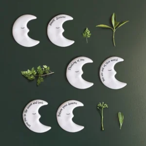 East of India - Tiny Moon Token - Collection