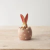 Sitting Rabbit Hiding In Daisy Egg