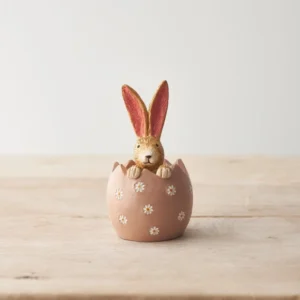 Sitting Rabbit Hiding In Daisy Egg