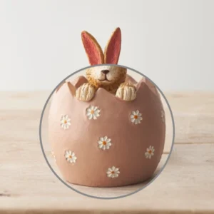 Sitting Rabbit Hiding In Daisy Egg Close
