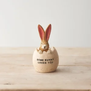 Sitting Rabbit in Egg - Some Bunny Loves You - 27731