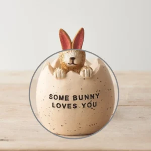 Sitting Rabbit in Egg - Some Bunny Loves You - 27731 Close Up