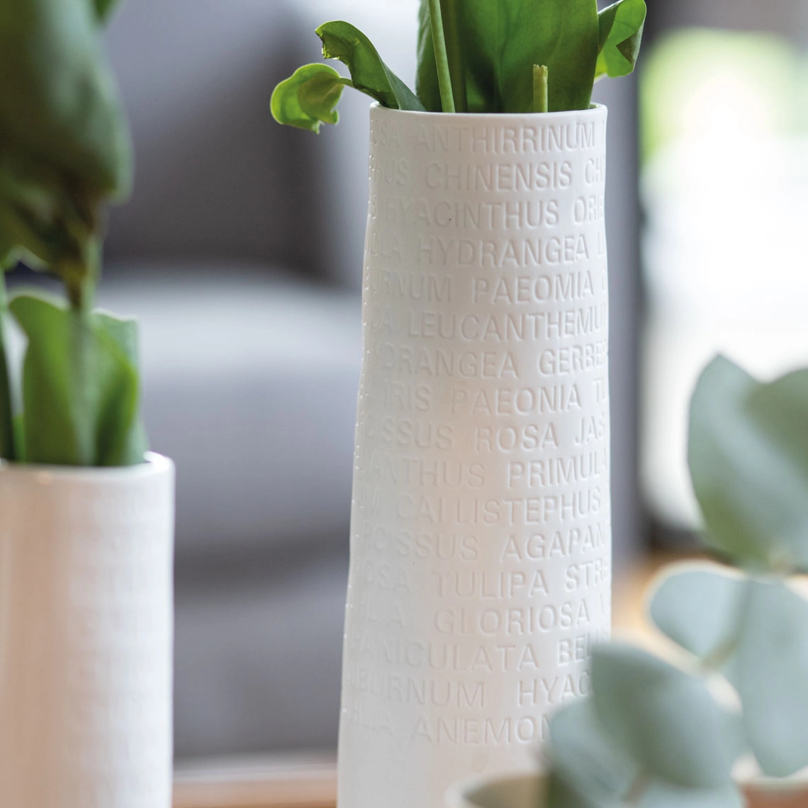 Rader - Room Poetry - Tall Porcelain Vase - 15428 Close Up