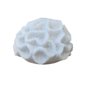 Sense Aroma - Mini Brain Coral Lamp - L79708