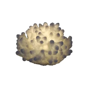 Sense Aroma - Mini Bulged Coral Lamp - L79702 Lit Up