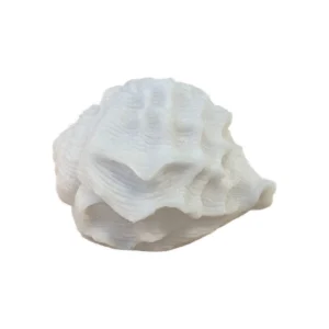 Sense Aroma - Mini Shell Lamp - L79704