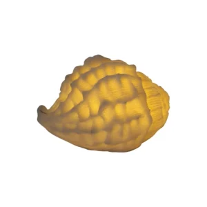 Sense Aroma - Mini Shell Lamp - L79704 Lit Up