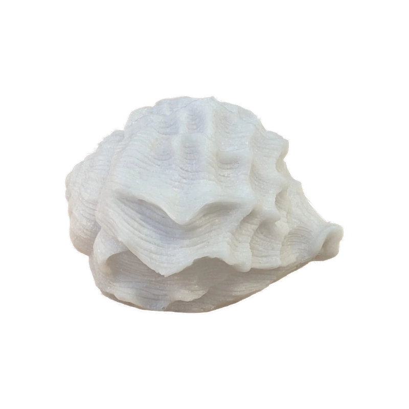 Sense Aroma - Mini Shell Lamp - L79704