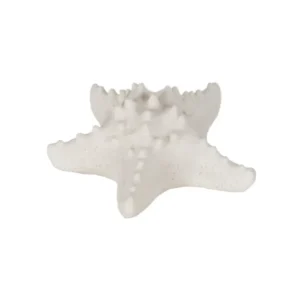 Sense Aroma - Mini Starfish Lamp - L79703