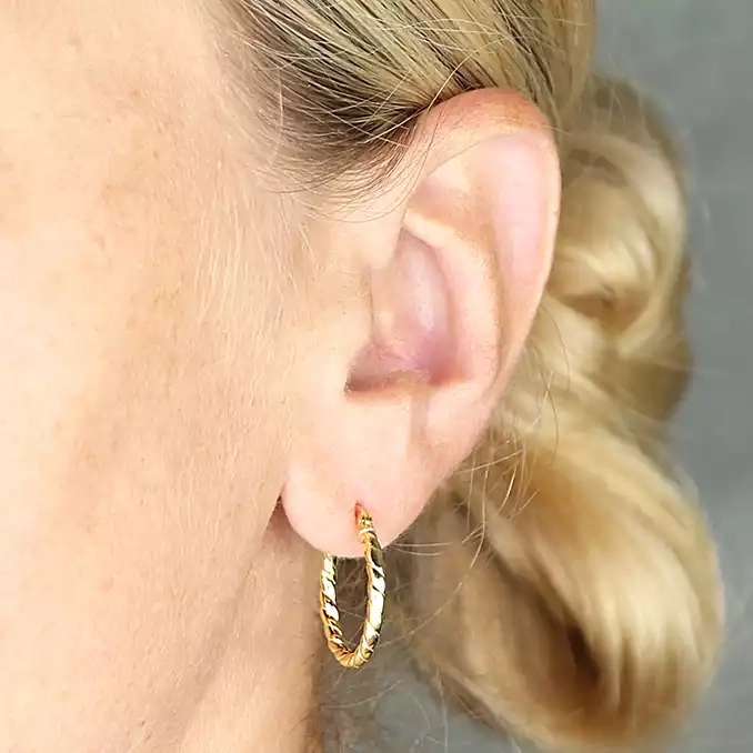 Silver Earrings - Creole Hinged Soft Twist Hoops - 20mm 18ct Yellow Gold - H5083Y Model