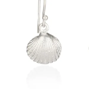 Silver Earrings - Drop - Cockle Shell Close up