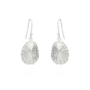 Silver Earrings - Drop - Limpet Shell