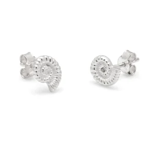 Silver Earrings - Studs - Ammonite