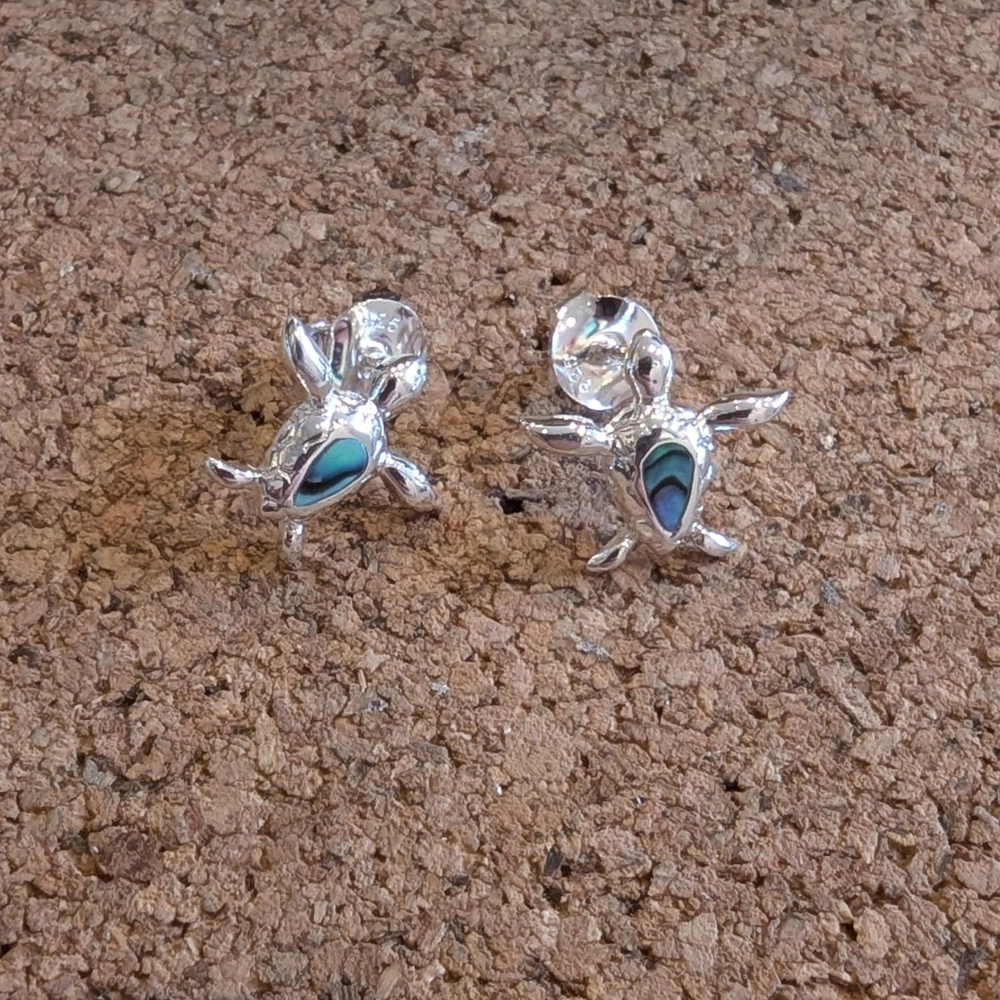 Sterling Silver Earrings - Studs - Paua Shell Turtle Lifestyle