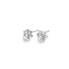 Silver Earrings - Studs - Hammered Paw Print