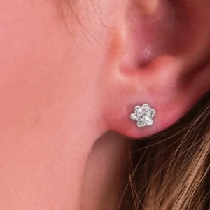 Silver Earrings - Studs - Paw Print Model