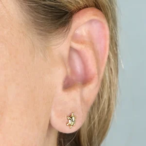 Silver Earrings - Studs - Turtle - Yellow Gold Plated - H6318Y - Model