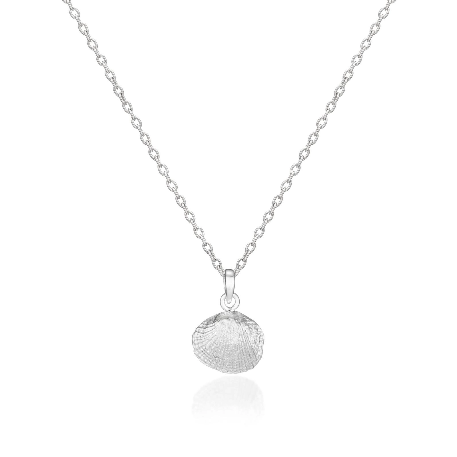 Silver Necklace - Cast Cockle Shell Pendant