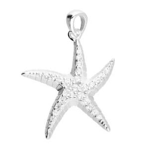 Silver Necklace - Cubic Zirconia Starfish Pendant Close up