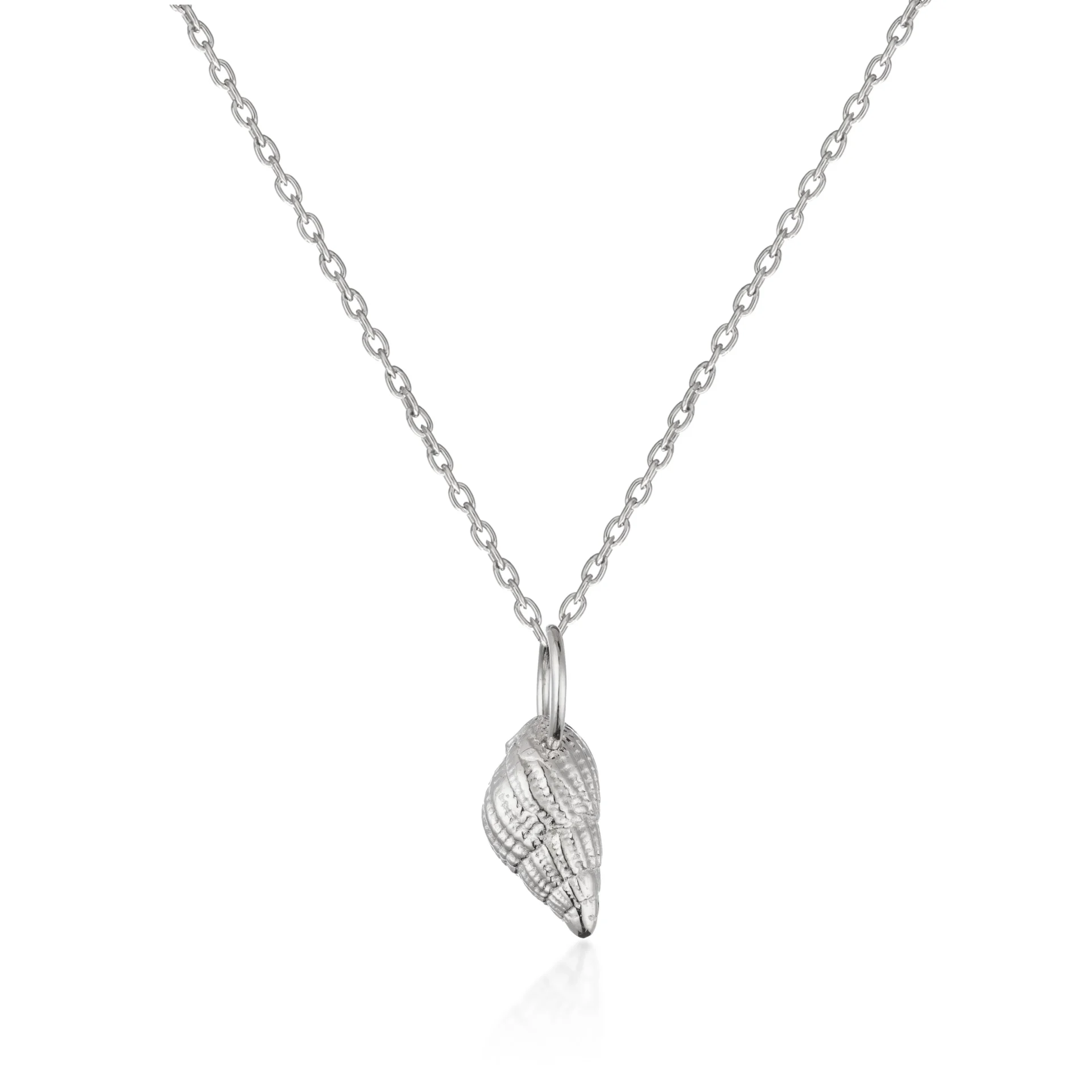 Sterling Silver Necklace - Small Dog Whelk Pendant