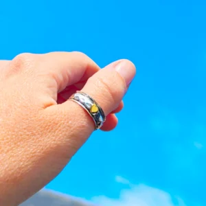 Silver Rings - Spinning Heart Ring - 11100087 Model